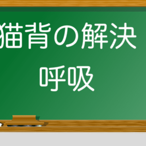 猫背解消ができる。トレーナーが教える筋トレ。