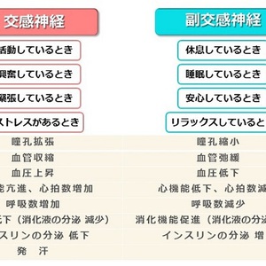 トレーナーがあなたに届ける１通〜日々のストレス社会で生きるあなたへ〜