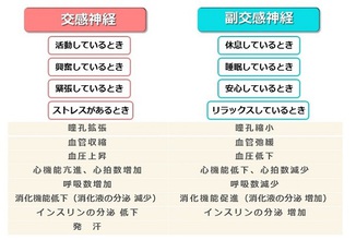 トレーナーがあなたに届ける１通〜日々のストレス社会で生きるあなたへ〜