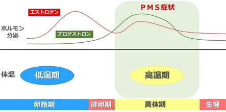 《家族のためにできること》生理前（PMS)にイライラする身体の変化とは