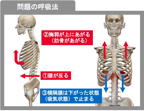 問題の呼吸