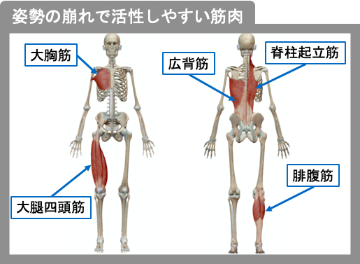 姿勢の崩れで働く筋肉