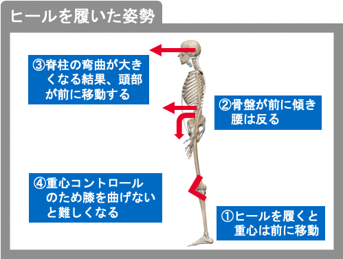 ヒールを履いた姿勢